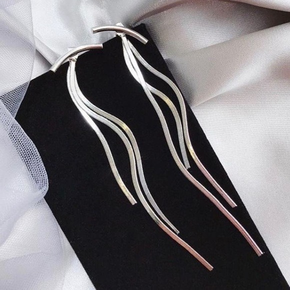 NEW Silver Plate Tassel Dangle Earrings - Picture 1 of 4